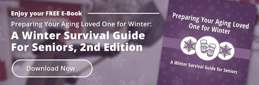 Winter Survival Guide for Seniors