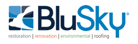 Blusky Logo 8-16