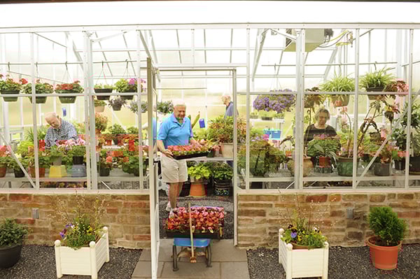 Greenhouse pic