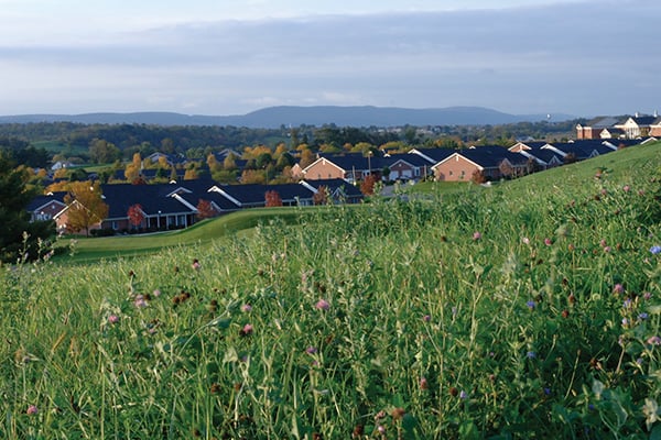 Quincy cottages 2