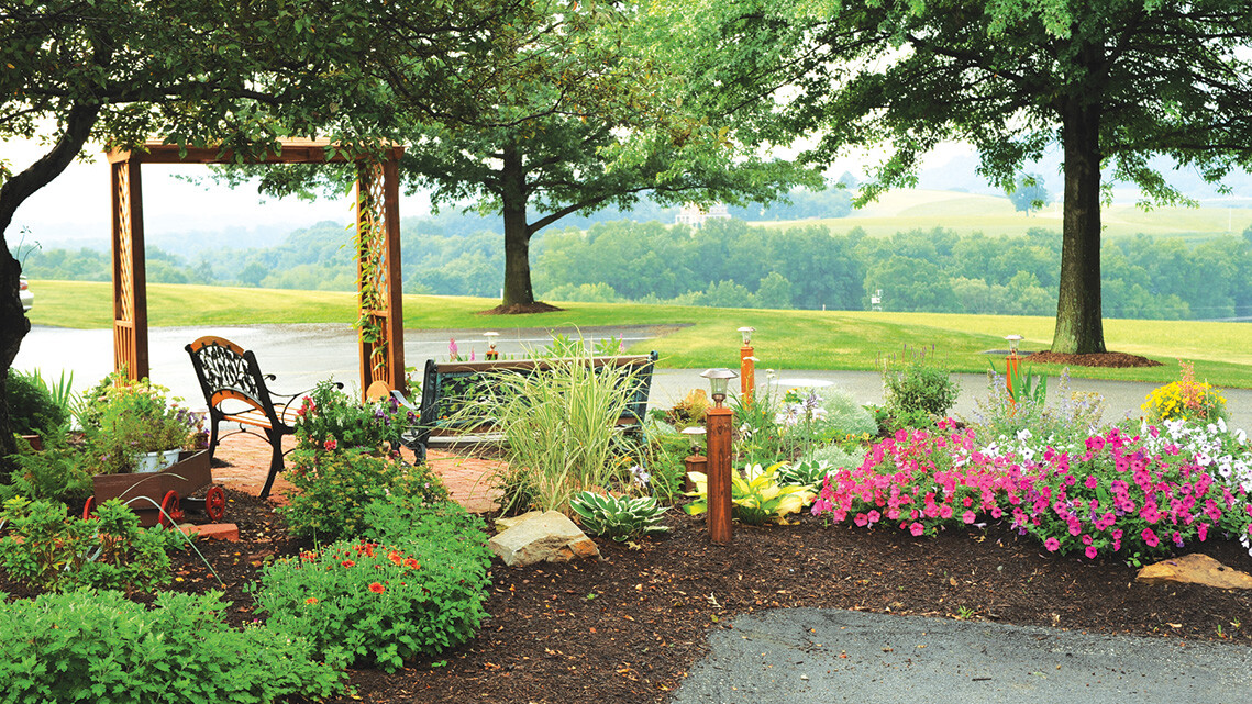 SAV garden with view 191-1