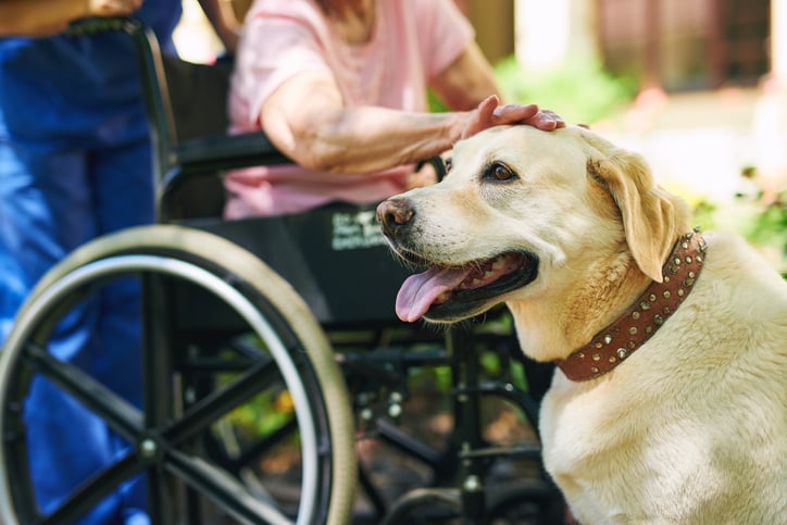skilled nursing 2