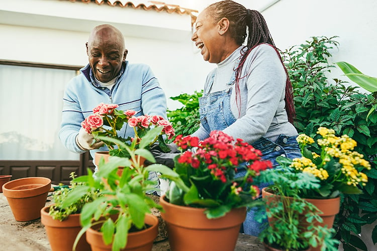 Couple planting flowers indoors