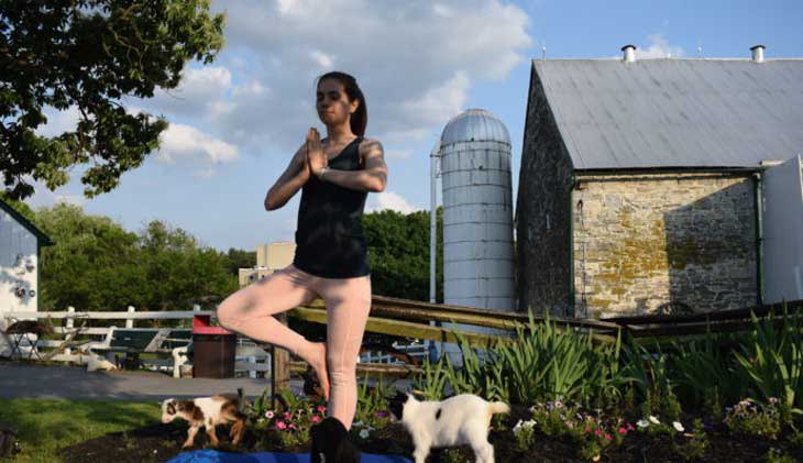 Lancaster Top Place to Retire- Amish Farm and House Goat Yoga