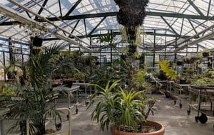 Cathedral Village Greenhouse