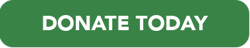 Donate Today button