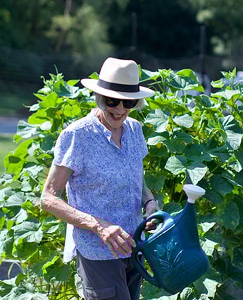 Senior Woman watering plants in community garden at a life plan community