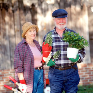 seniors gardening