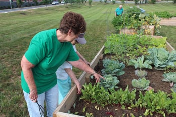 environmental stewards at cathedral village