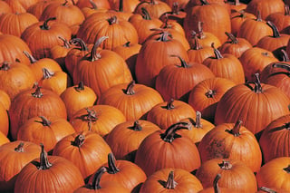Surprising Health Benefits of Pumpkins