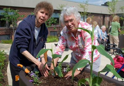 gardening at st andrews village part 2