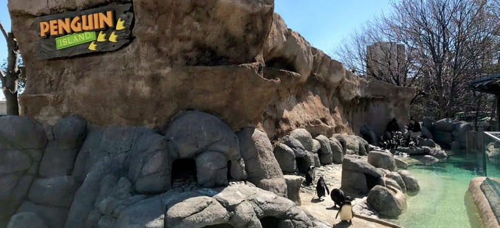 Fun Senior Activities in Philadelphia- Penguin Park- Adventure Aquarium