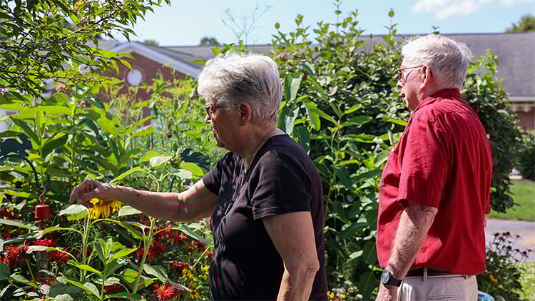 Quincy Couple in Community Garden