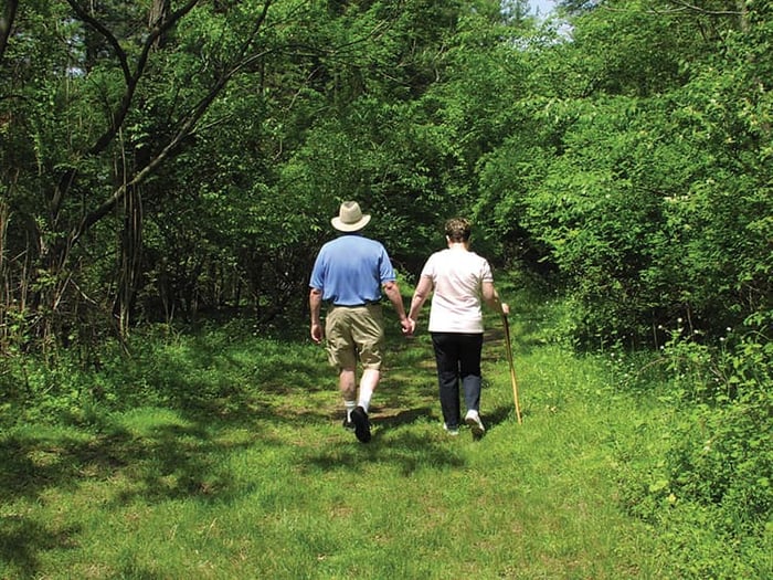 Sized Walk in Woodds