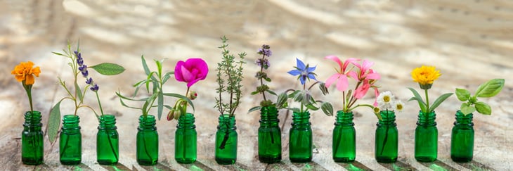 aromatherapy-as-alternative-treatment-for-pain-in-seniors