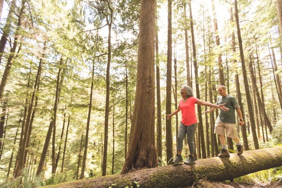 senior-couple-balancing-on-log-in-forest