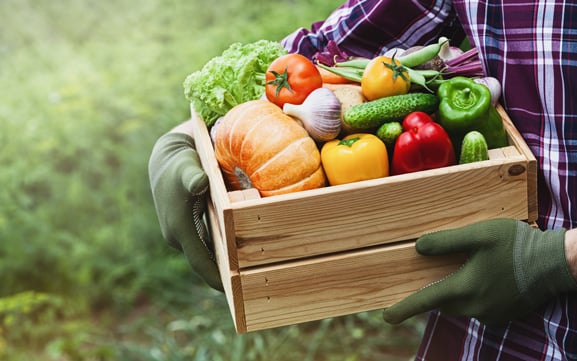 senior-dental-health-fruit-and-veggies