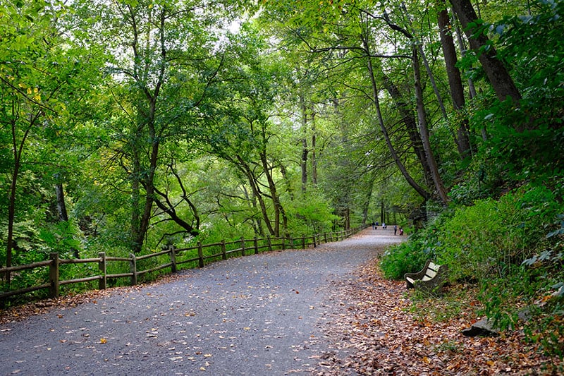 Philly Walking Paths