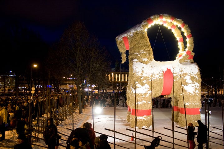 Gälve Goat Sweden