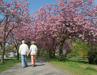 preparing your aging loved one for spring