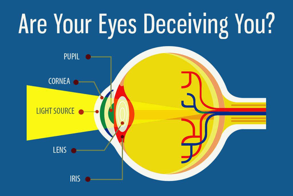 Are Your Eyes Deceiving You? Get the Facts About Cataracts [Health Infographic]