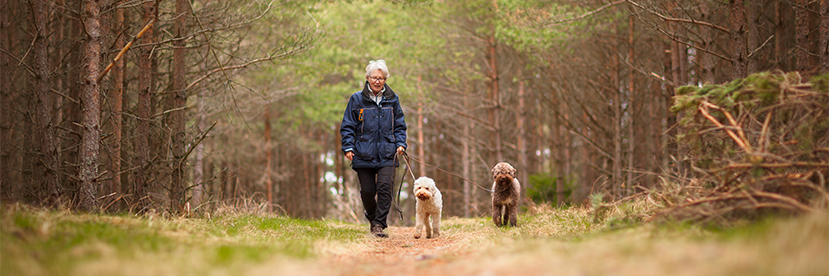 Pet Power: The Many Benefits of Pet Ownership for Seniors