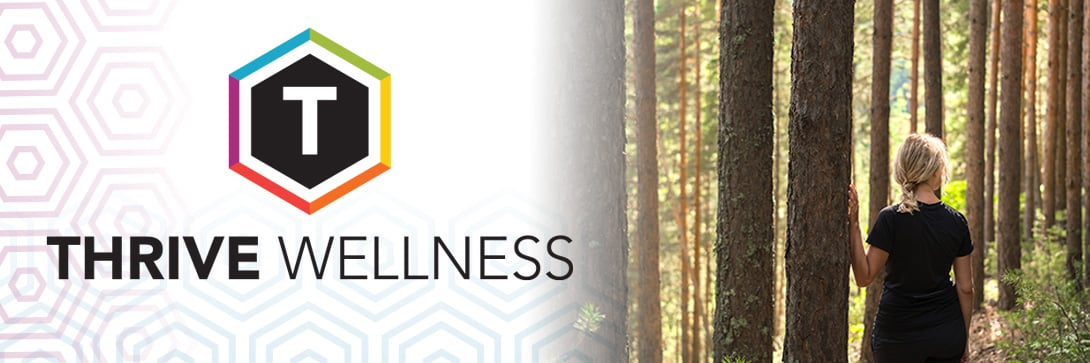 Connecting with Nature Therapy to Transform Your Well-Being